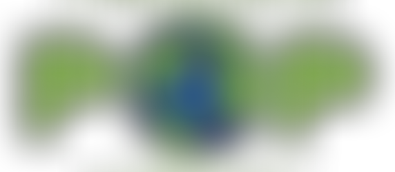 CEO & FOUNDER DAVID BASH, SHARED DETAILS, AND HISTORY REGARDING IPO FESTIVAL