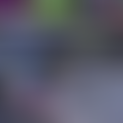 NASCAR Cup Series Race Report