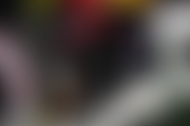 Terrapins remain undefeated defeating Spartans 31-9