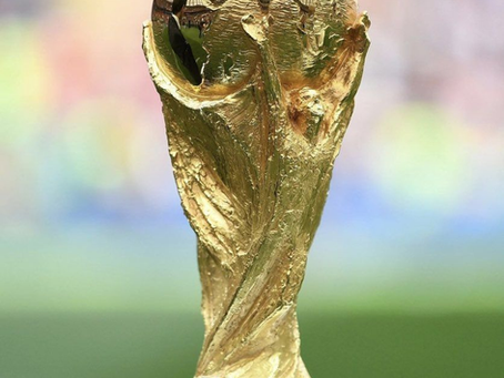 Argentina was defeated by Spain in the World Cup Final 1-0