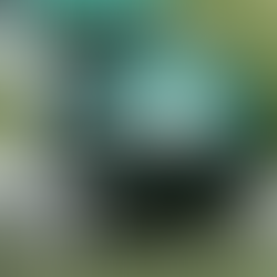 Jets bring excitement to their fanbase with new perks 