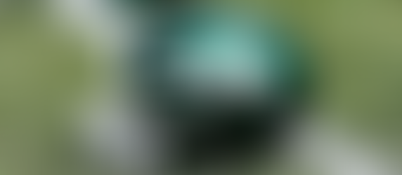 Jets bring excitement to their fanbase with new perks