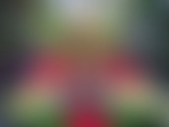 THINGS TO DO IN WASHINGTON DC THIS HOLIDAY SEASON - 2022