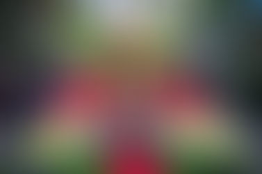 THINGS TO DO IN WASHINGTON DC THIS HOLIDAY SEASON - 2022