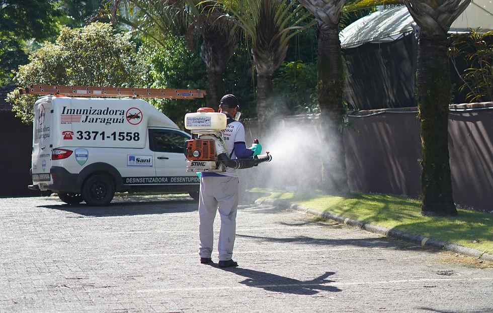 Quanto custa uma dedetização de mosquitos?