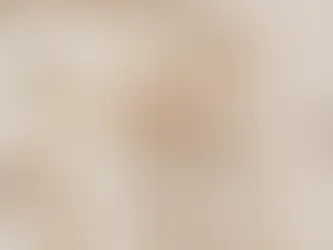 Revoada de cupins o que fazer?