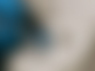 Quanto custa desentupir uma privada?