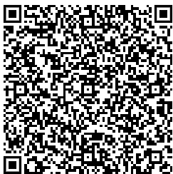 QR Code Alex vCard ohne Logo.png