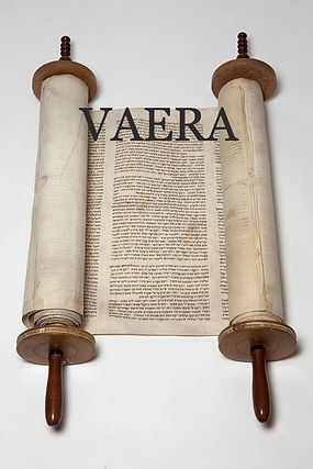 1821_Torah_scroll_edited.jpg