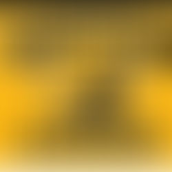 Moorestown Girls Lacrosse Apparel Store - Stay Tuned!