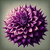 dahlia.png