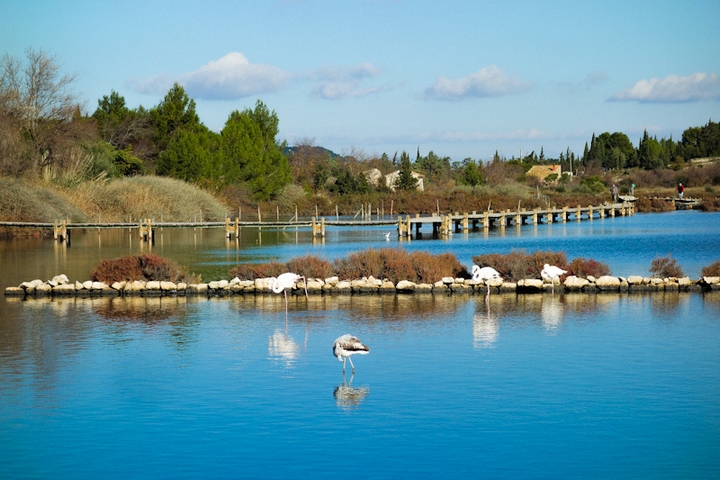 Peyriac-de-Mer