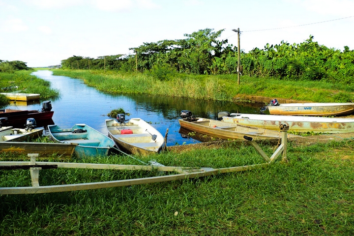 les marais de kaw Guyane