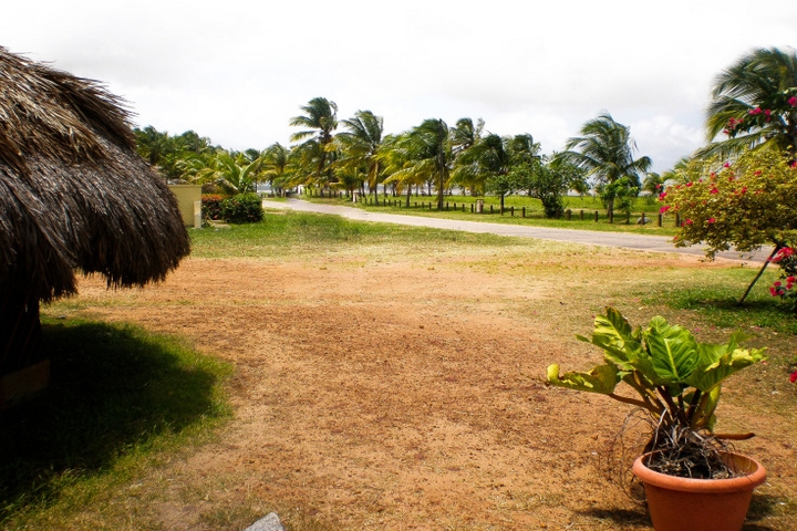 awala yalimapo guyane