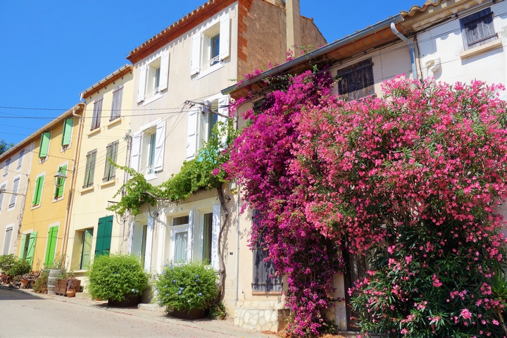 Leucate, Aude