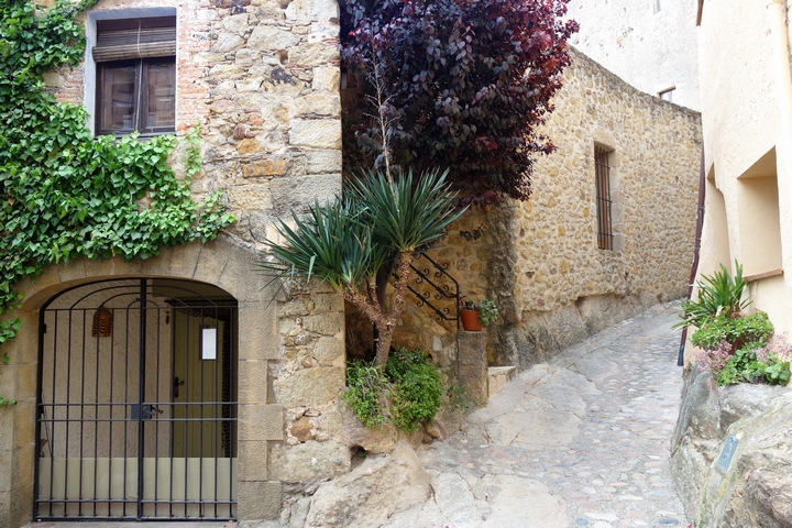 Pals ruelle
