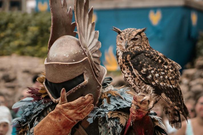 Puy du Fou