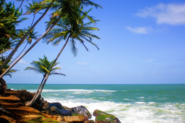 iles salut guyane