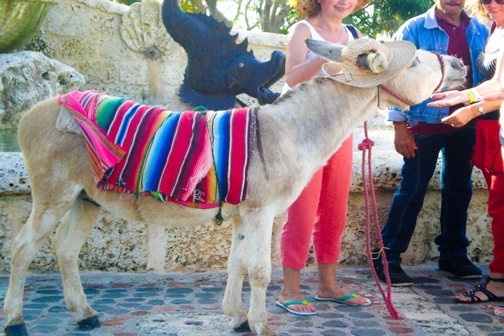 altos de chavon