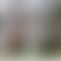 Transforming Exterior Wood Siding on Homes with Spray Painting Services