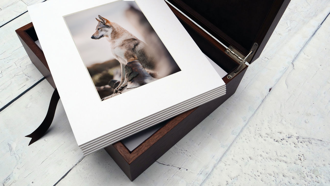 Folio box kids mum dad family dog