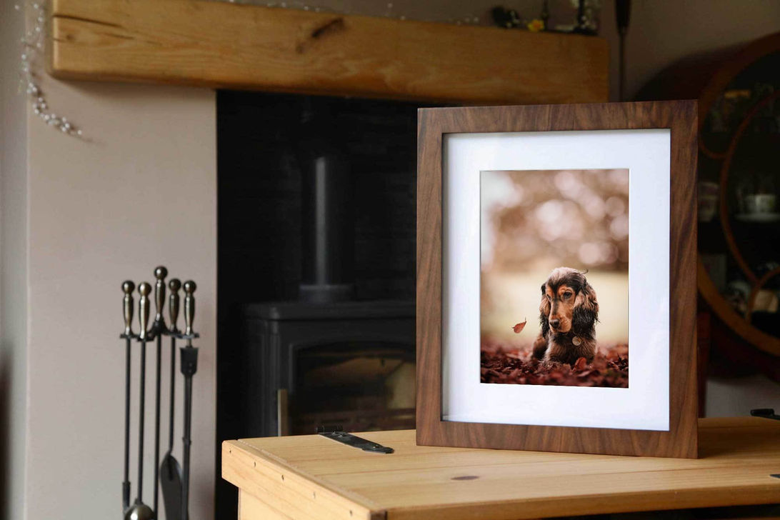 Folio box kids mum dad family dog