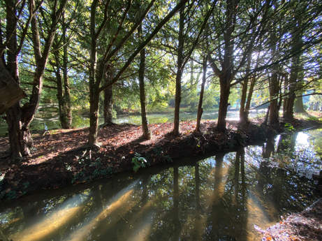 Game Shooting Estate