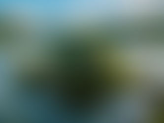 「生物可分解塑膠」真的環保嗎?海洋研究揭露的驚人真相