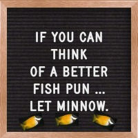 Never Underestimate the Value of a Funny Quote