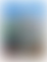 The Veins Of The City