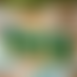 Governo estuda liberar até 20% do FGTS para pagamento de dívidas