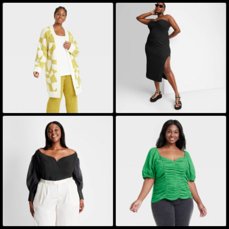 Case Lot of Womens Plus Size Clothing - 52 Units - Manifested - Shelf Pulls