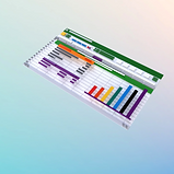 Apis Business Solutions Yazılım Geliştirme Hizmetleri 