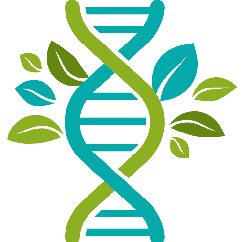 Writer: Joanna Rydygier-Tomicka