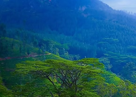 handpicked honeymoon trips are designed to create memories you’ll cherish for a lifetime."