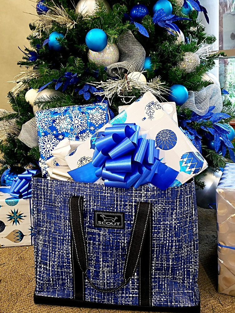 Scout Bags Review With Discount Code