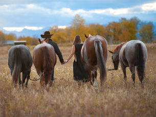 Riders, It’s Okay to Take a Break! Support You & Your Horse's Health This Holiday Season.