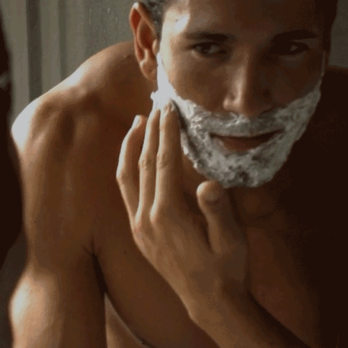 bicflex3.gif