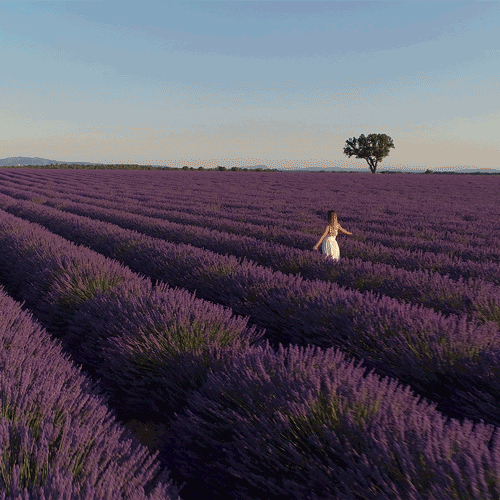 soleilescape.gif