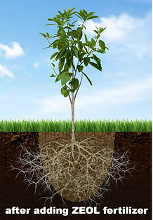 israway fertilizer 4.jpg