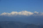 IMG_8724.jpg