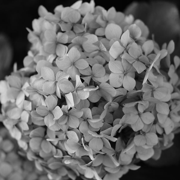 image00022.jpeg