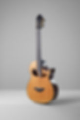 221212GUITAR0987.jpg