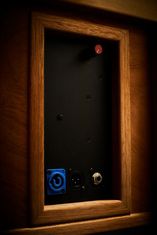 230413-guitars 51714.jpg