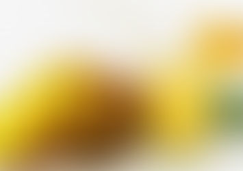 Do you Want to Lose Weight Fast? Do it With Pineapple