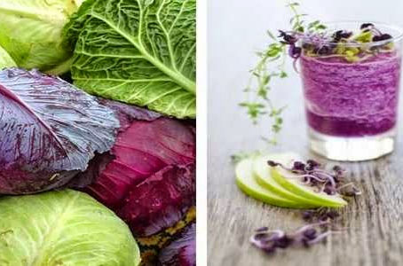 Home Cure For Ulcers And Gastritis