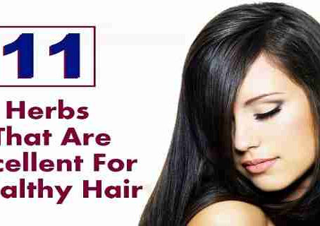 11 Herbs That Are Excellent For Healthy Hair