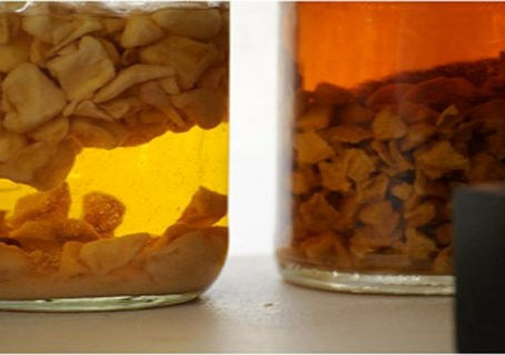 Tincture Of Ginger – For Weight Loss, Increased Sexual Activity And Against Colds