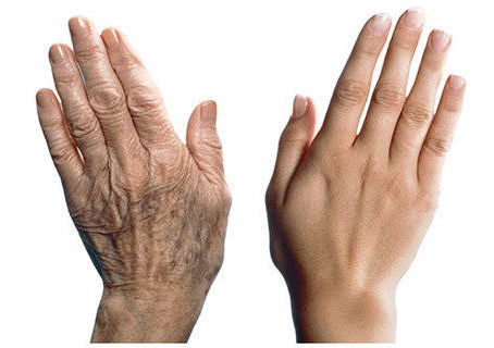 How to slow down aging with help of nature