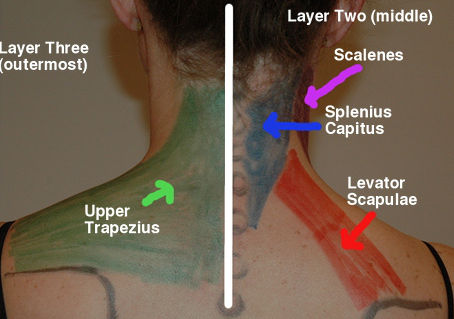 Get Rid Of Neck Pain With This 5 Min Self-Massage